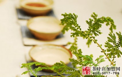 不宜吃茶品茗的人