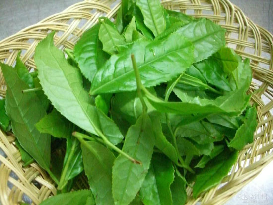 茶叶市场茶叶利润的阐发