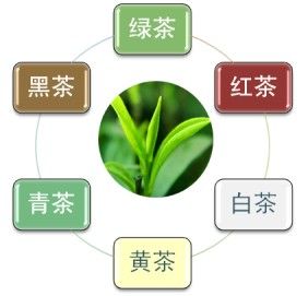 六大茶类－六大茶类的感化与功能－茶类保健