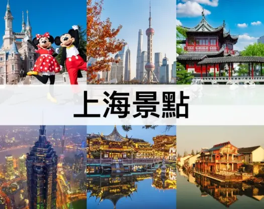上海顾村公园春季樱花进入全盛期 清明前后赏花带什么中华老字号吃食最应景