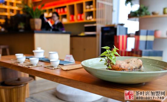 茶饰摆件--都会茶社的绿色精灵--茶艺绿植
