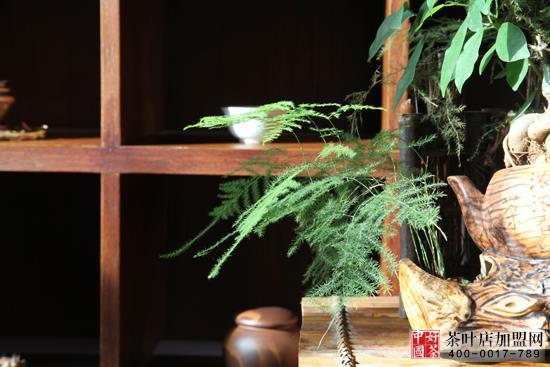 茶饰摆件--茶馆茶社的花卉摆放体例--茶艺花卉动物完善的连系1