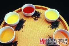 中国六大茶系相干功能