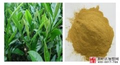 为甚么茶叶具备很好的美容减肥功能