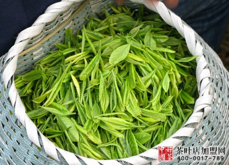 茶叶店进货渠道阐发