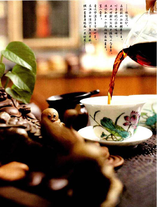 中国茶叶典范图书_图说中国茶典