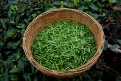  河北茶叶零售市场阿谁比拟好
