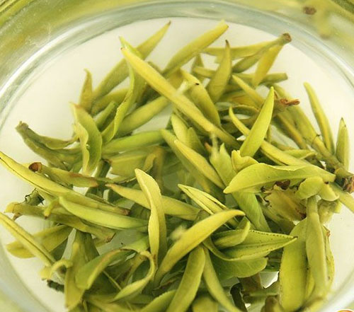 黄茶的发源和由来－黄茶的建造工艺－黄茶的建造体例