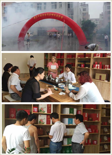 淄博茶叶_淄博茶叶价钱_淄博菏泽茶叶零售