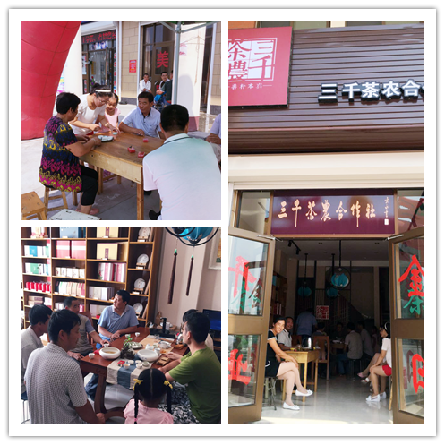 临沂费县茶叶加盟_茶叶零售市场_临沂费县茶叶店加盟