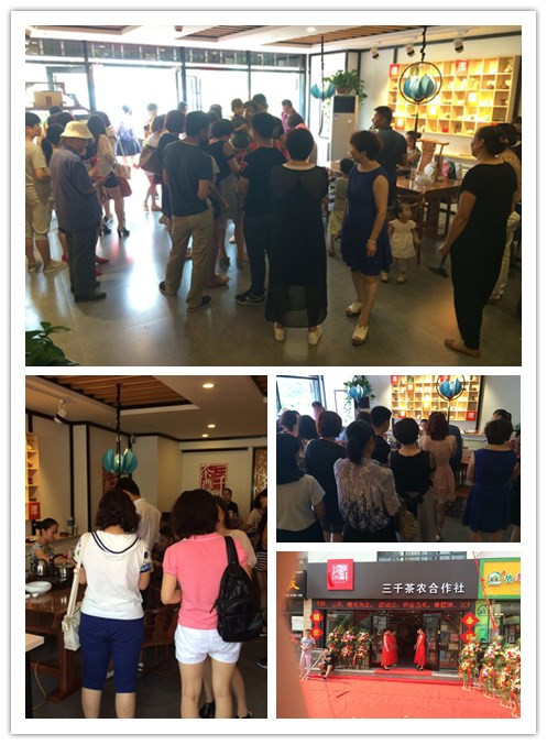 三千茶农茶叶专卖店投资小收益有保障
