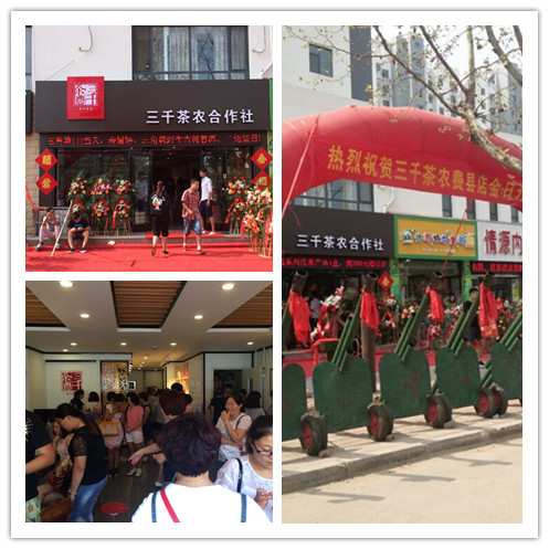 临沂茶叶加盟店,茶叶连锁店,费县三千茶农茶叶店
