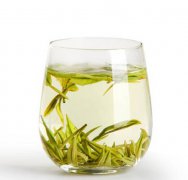 安吉白茶的功能与感化有哪些？