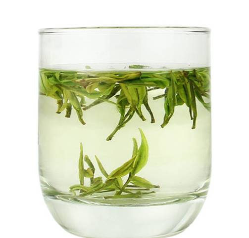 安吉白茶的准确泡法