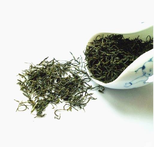 信阳毛尖的特色_信阳毛尖的由来