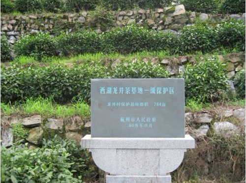 正宗龙井产地_西湖龙脊的产区
