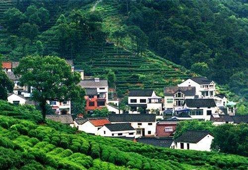 正宗龙井产地_西湖龙脊的产区