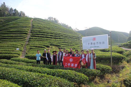 三千茶农白茶品牌-茶叶加盟-茶叶店加盟