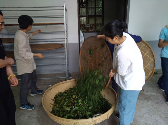 三千茶农白茶品牌-茶叶加盟-茶叶店加盟