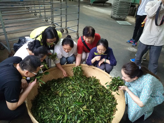 三千茶农白茶品牌-茶叶加盟-茶叶店加盟
