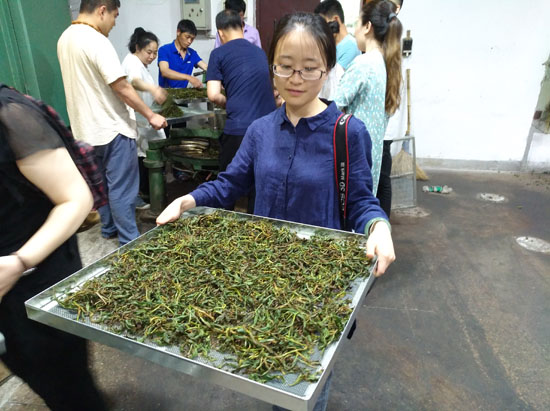 三千茶农白茶品牌-茶叶加盟-茶叶店加盟