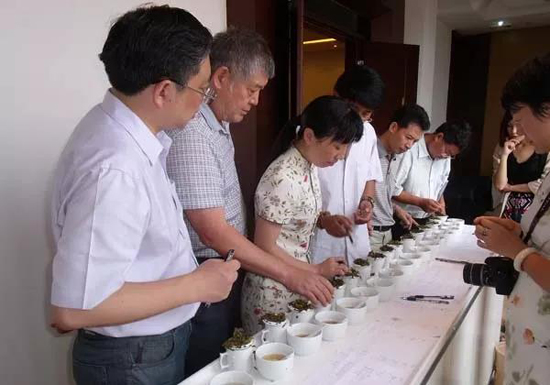 评茶师分辩叶底的黑白