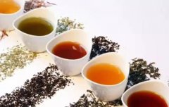 茶叶常识百科，不要让品茗输在起跑线上！