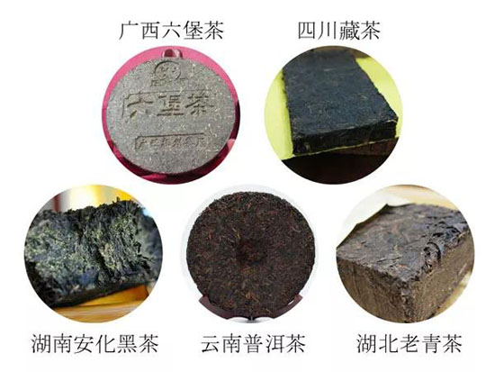 黑茶名茶-黑茶的感化与功能