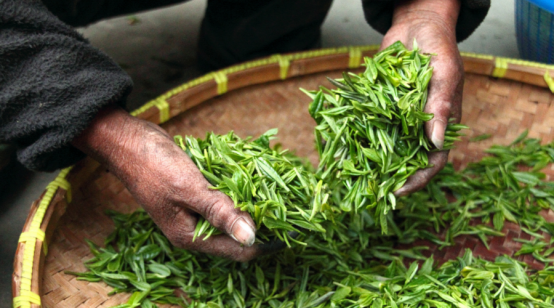 零售茶叶去那里？他们卖茶叶的都是从哪去零售的茶叶???