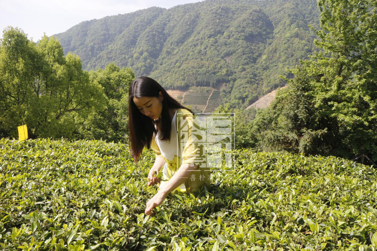 国际茶叶零售市场那里好？若何挑选茶叶零售渠道？